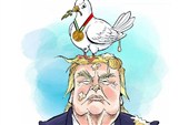 از اهدای جایزه صلح نوبل به «شاخه زیتون» تا تحریم لاهه توسط ترامپ