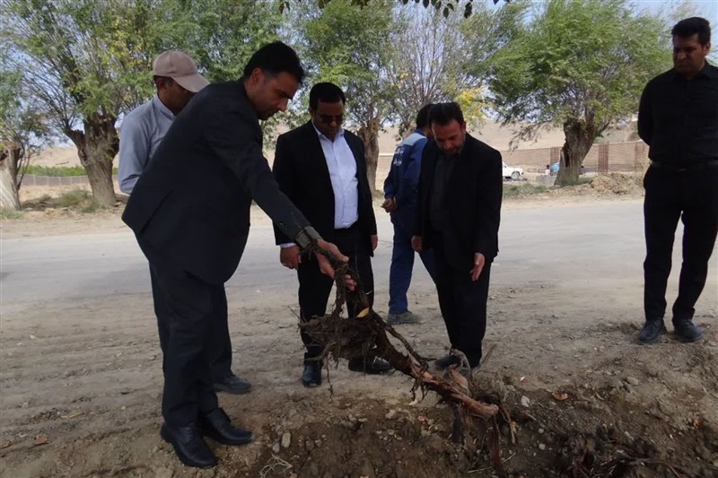 اخبار استان خراسان جنوبی , خبرگزاری تسنیم , اخبار فردوس , 
