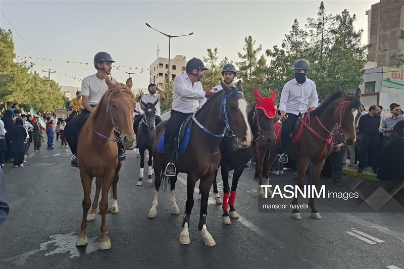 اخبار استان خراسان جنوبی , خبرگزاری تسنیم , جانفدا , 