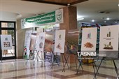 آئین ملی آغاز سال زراعی جدید با حضور رئیس‌جمهور در کرج