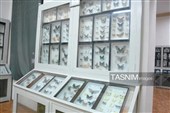 موزه‌ای با گنجینه‌های جهانی