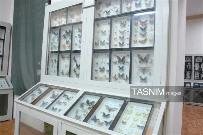 اخبار کرج , اخبار استان البرز , علمی , 
