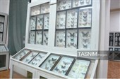 موزه‌ای با گنجینه‌های جهانی