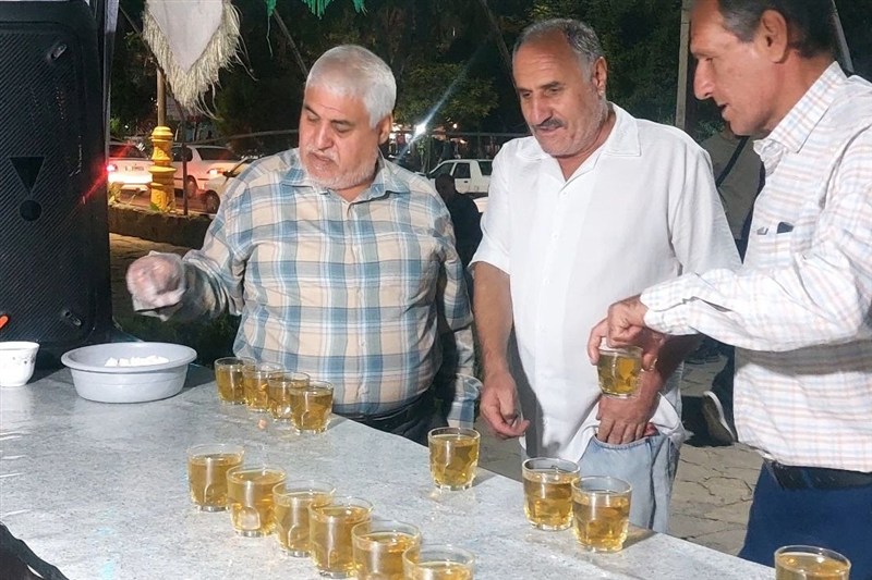 اخبار بهارستان , امام رضا (ع) , موکب رضوی , خادمیاران رضوی ,