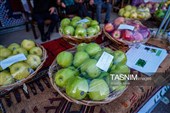 Национальный фестиваль яблок в Ширване