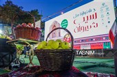 Национальный фестиваль яблок в Ширване