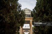آیین گلباران آرامگاه  حافظ شیرازی