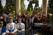 آیین گلباران آرامگاه  حافظ شیرازی