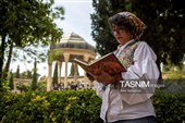 آیین گلباران آرامگاه  حافظ شیرازی
