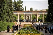 آیین گلباران آرامگاه  حافظ شیرازی