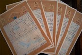 صدور 6412 جلد سند مالکیت در ساوجبلاغ