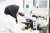 Six Iranian Scientists from Royan Institute Make It into Global Top 2% List