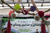 جلوه‌گری هنر دست و تولیدات بومی در کرج
