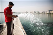 مانور عملیاتی سیل و بقا در شرایط سخت