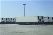صادرات روزانه 70 کانتینر کالا به مقصد قطر از بندر جنوبی استان بوشهر