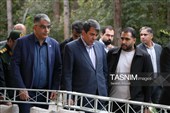 آغاز به‌کار چهارمین جشنواره ملی نان در کرمان