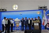 منطقه آزاد بوشهر سرزمین طلایی سرمایه‌گذاری است