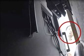 Saudi OpenAI Engineer Arrested over Covert Recording Device