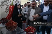 برگزاری نخستین جشنواره فلفل در روستای بیزه داورزن