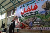 برگزاری نخستین جشنواره فلفل در روستای بیزه داورزن