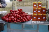 برگزاری نخستین جشنواره فلفل در روستای بیزه داورزن