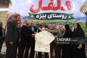 برگزاری نخستین جشنواره فلفل در روستای بیزه داورزن