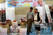 برگزاری نخستین جشنواره فلفل در روستای بیزه داورزن
