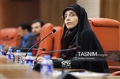 ارائه یک شرکت کننده در پنل تخصصی هیأت خانوادگی؛ ریشه‌ها و فرصت‌ها