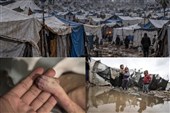 سلاح خاموش و مرگبار «زمستان» در راه غزه / 25 کودک و نوزاد یخ زدند