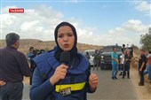 تقریر تسنیم | موسم زیتون دامٍ فی الضفة الغربیة.. الاحتلال یعرقل قطف الزیتون فی بیت عنان