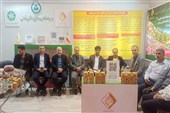 توسعه بازارهای صادراتی کشاورزی فارس با رویکرد نوین