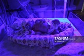 پرستاری؛ روایت عشق، صبوری و امید