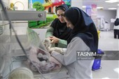 پرستاری؛ روایت عشق، صبوری و امید