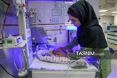 پرستاری؛ روایت عشق، صبوری و امید