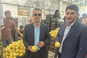 استقبال 5 هزار نفری از هفتمین جشنواره ملی «به» در گیوی
