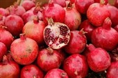 تولید سالانه بیش از 10 هزار تن انار در باغات آذربایجان‌شرقی