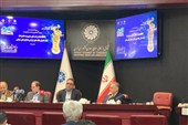 لاهوتی: شرکت‌های بازرگانی از سهمیه‌های وارداتی محروم‌اند