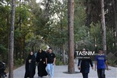 چهارمین جشنواره ملی نان کرمان