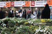 چهارمین جشنواره ملی نان کرمان
