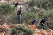 Israeli Settlers Attack Palestinians, European Diplomats in Occupied West Bank