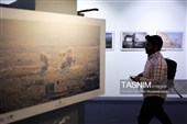 دومین روز جشنواره بین‌المللی فیلم کوتاه تهران