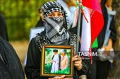جان فدایان مازندران همچنان پای کار انقلاب