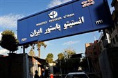 جایگاه بین‌المللی بخش هاری انستیتو پاستور ایران تمدید شد