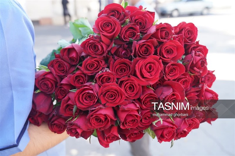 اخبار استان خراسان جنوبی , 