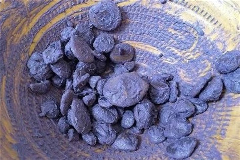 اخبار استان خراسان جنوبی , خبرگزاری تسنیم , زنان ,