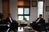 تولید 250 مگاوات برق خورشیدی در دستور کار استان بوشهر