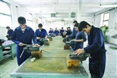 راه‌اندازی 15 کارگاه مهارت‌آموزی روستایی در جنوب استان بوشهر