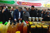 سفر سخنگوی دولت به استان مرکزی