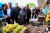 سفر سخنگوی دولت به استان مرکزی