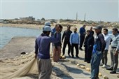 قشم در مسیر بازسازی؛ خسارت جنگ چگونه معیشت مردم را تحت تأثیر قرار داد؟